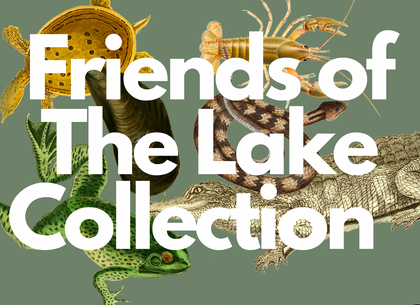 Friends of The Lake Collection